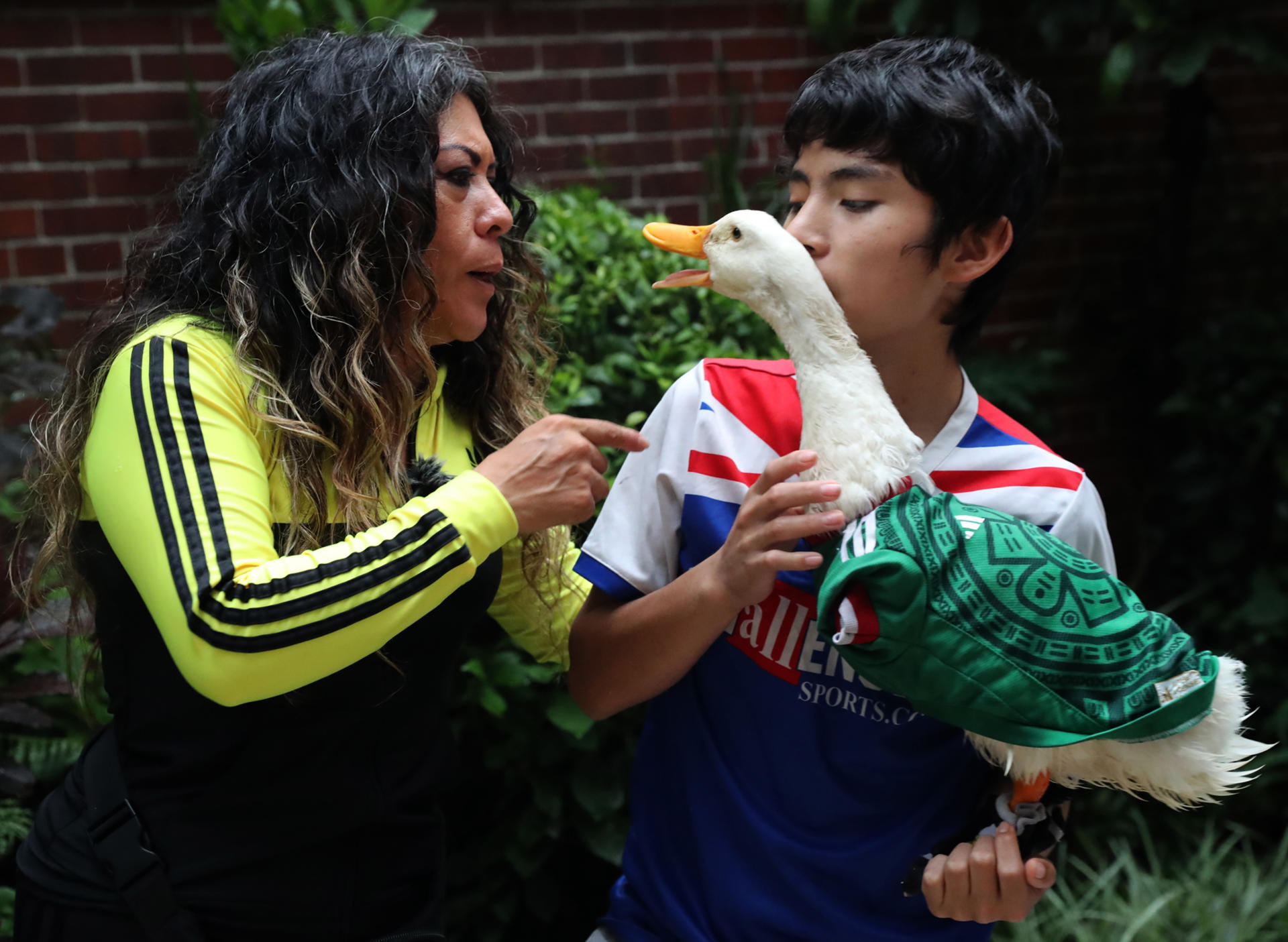 El pato Merlín se convierte en embajador de la FIFA y símbolo cultural del Mundial 2026 en México